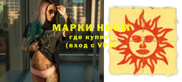 mix Ельня