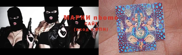 стаф Дмитровск
