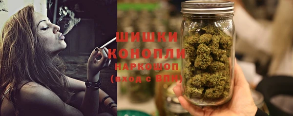 шишки Елабуга