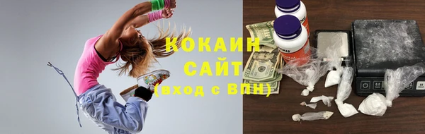 СК Елизово