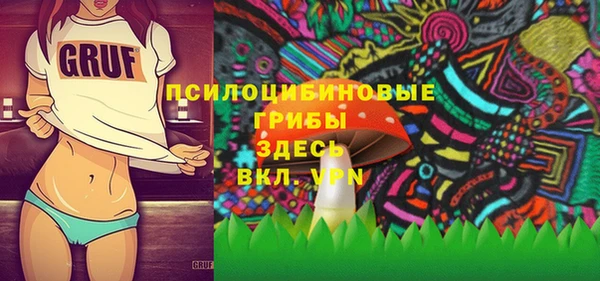 СК Елизово