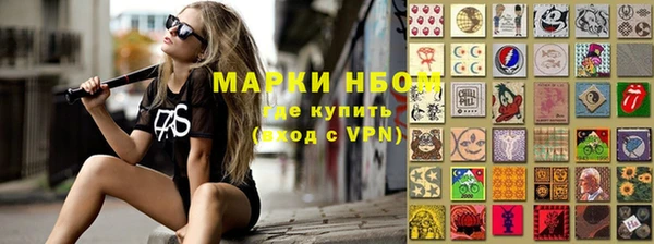 СК Елизово
