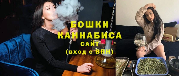 стаф Дмитровск